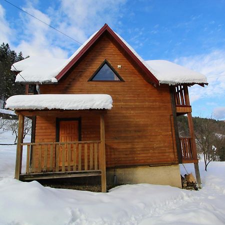 Котедж "Карпатський Краєвид" Iaremcea Exterior foto