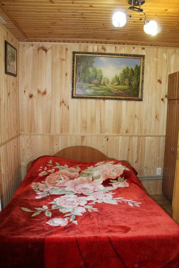 Котедж "Карпатський Краєвид" Iaremcea Exterior foto
