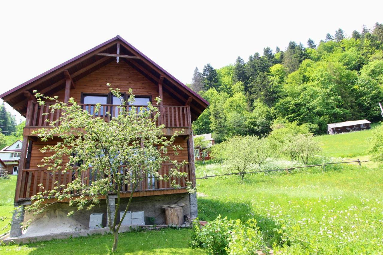 Котедж "Карпатський Краєвид" Iaremcea Exterior foto