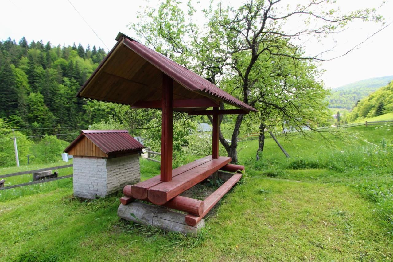 Котедж "Карпатський Краєвид" Iaremcea Exterior foto