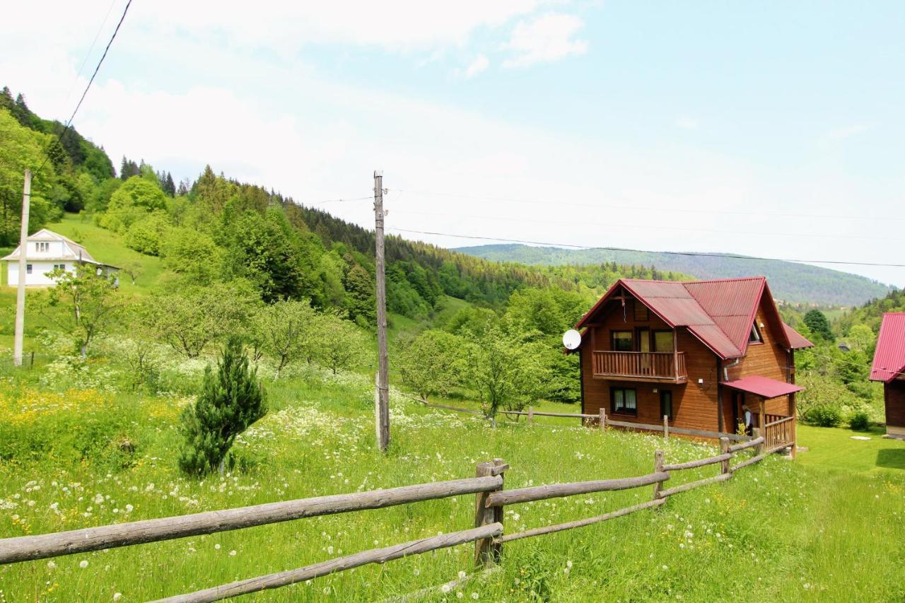 Котедж "Карпатський Краєвид" Iaremcea Exterior foto