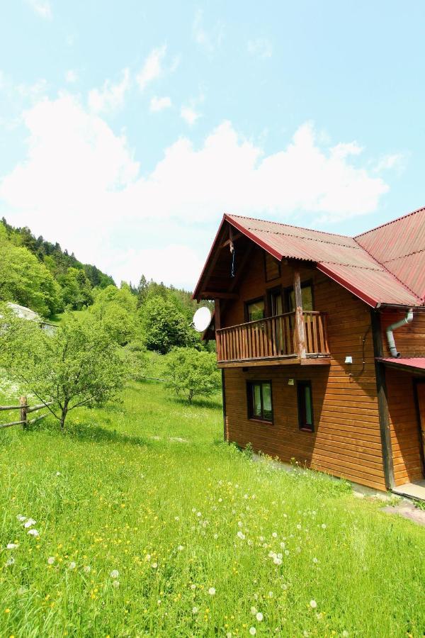 Котедж "Карпатський Краєвид" Iaremcea Exterior foto
